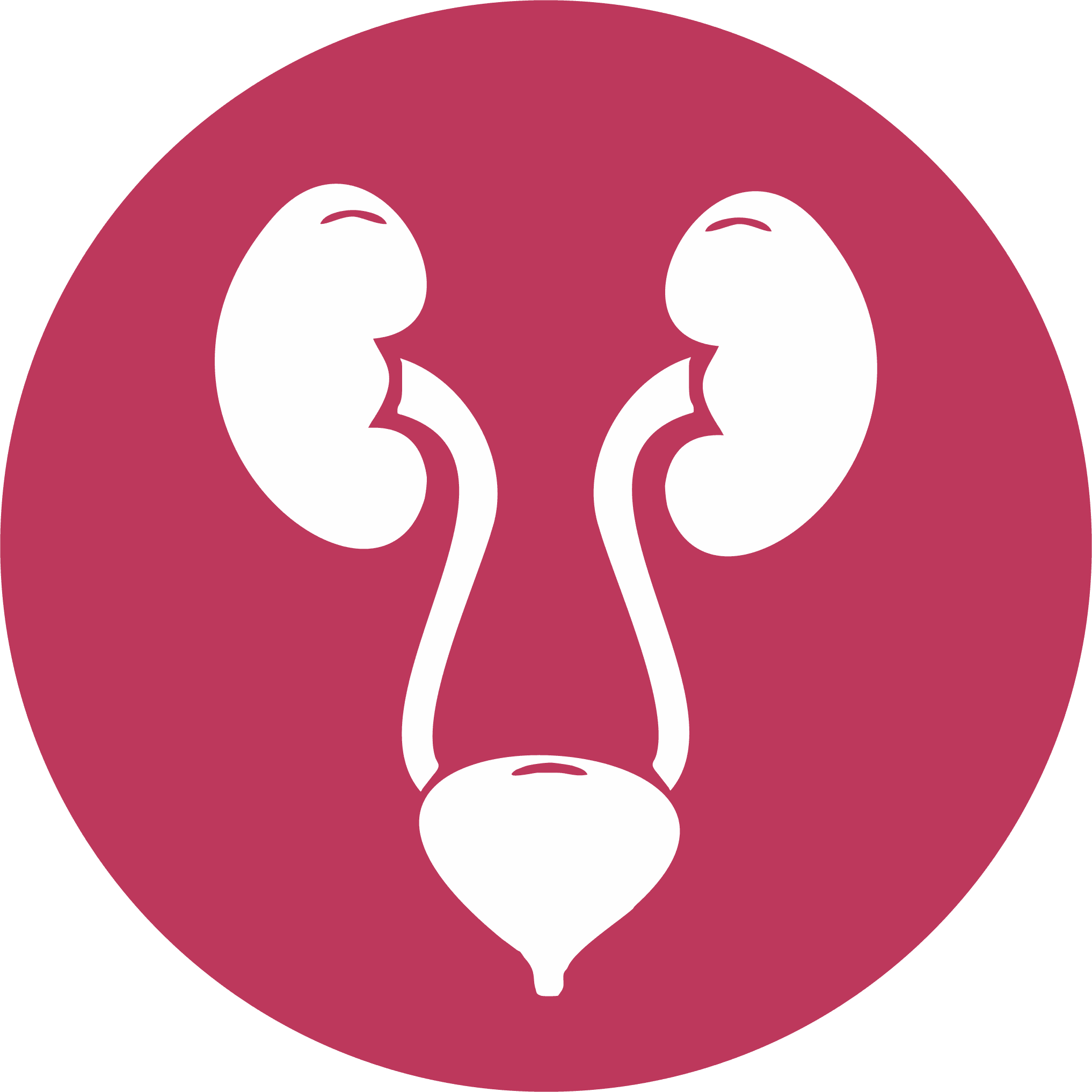 Urology Department - TX Hospitals Uppal