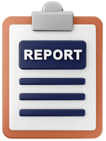 Detailed Reports