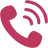 Phone Icon