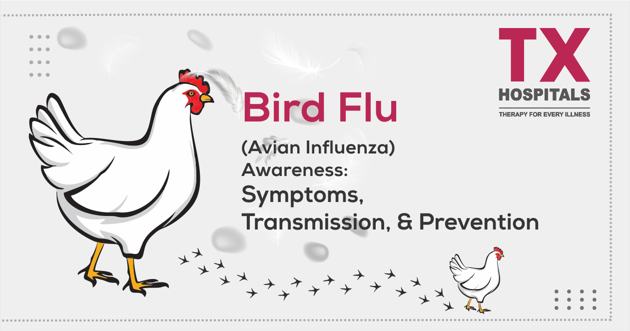 Bird Flu